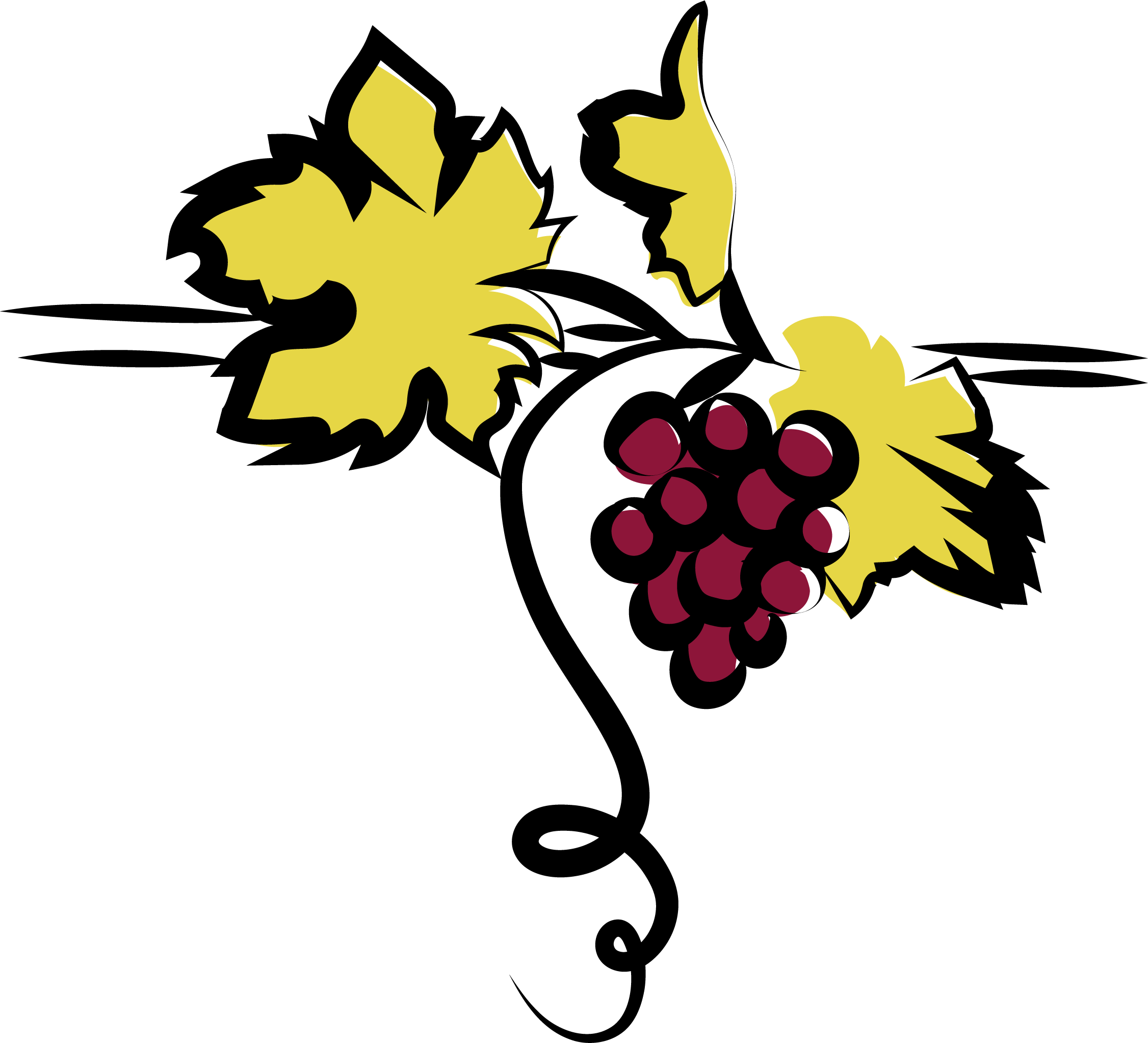 grapes-illustration